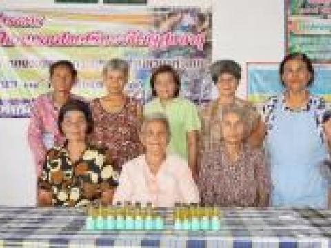 โครงการ อบรมอาชีพผู้สูงอายุตำบลหัวถนน ประจำปี 2559
