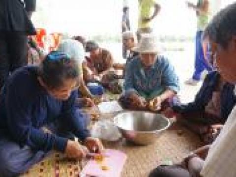 โครงการ อบรมอาชีพผู้สูงอายุตำบลหัวถนน ประจำปี 2559