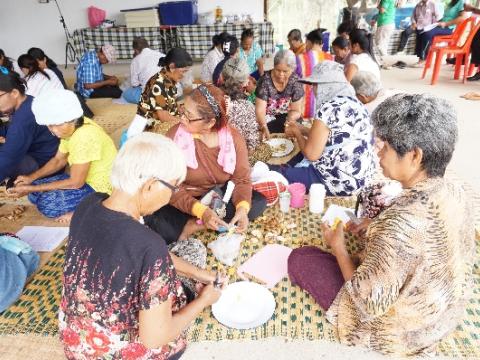 โครงการ อบรมอาชีพผู้สูงอายุตำบลหัวถนน ประจำปี 2559