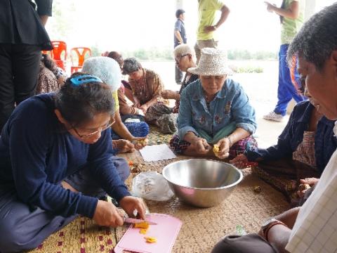 โครงการ อบรมอาชีพผู้สูงอายุตำบลหัวถนน ประจำปี 2559